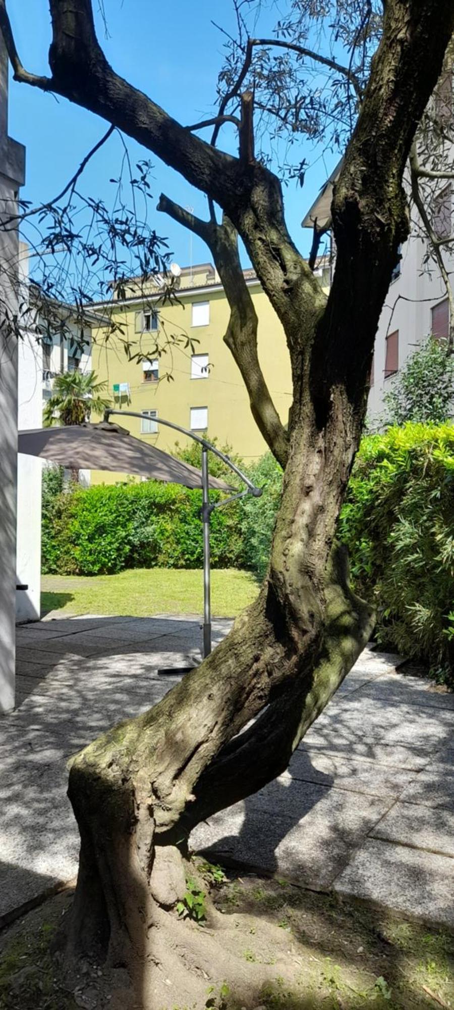 Villa Andrea Mestre Exterior photo